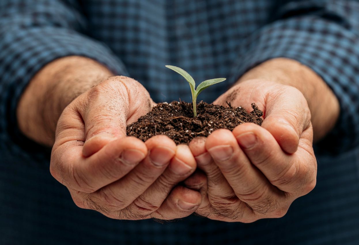 Curso de Engenharia Agronômica Semipresencial